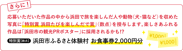 応募いただいた作品の中から浜田で旅を楽しんだ人や動物（犬・猫など）を収めた
写真に「特別賞 浜田たびを楽しんだで賞」（数点）を授与します。楽しさあふれる作品は「浜田市の観光PRポスター」に採用されるかも!?