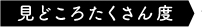 見どころたくさん度