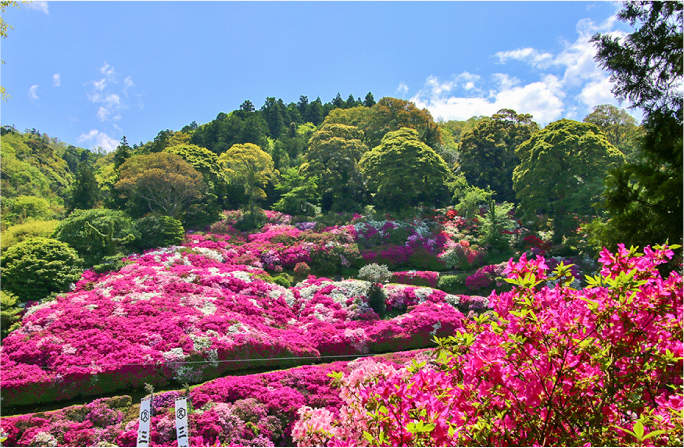 島根県浜田市三隅町三隅