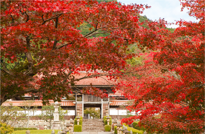 龍 雲 寺