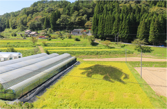 藤若農産の田んぼアート