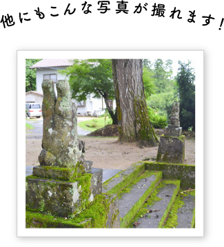 逆立ち狛犬（小坂大歳神社）