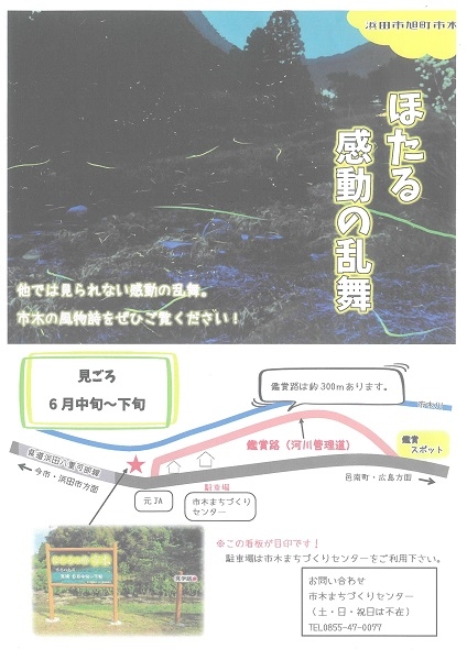 市木の風物詩「ほたる」」感動の乱舞