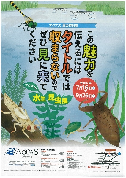 アクアス夏の特別展『アクアスの水生昆虫展』