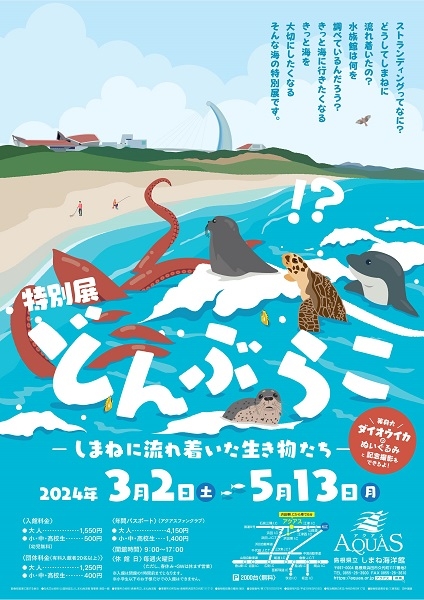 特別展「どんぶらこ-しまねに流れ着いた生き物たち-」