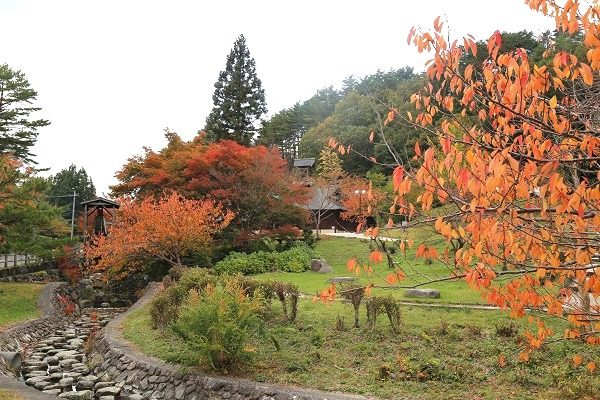 【要申込】第7回やさか表現大学（山歩き）