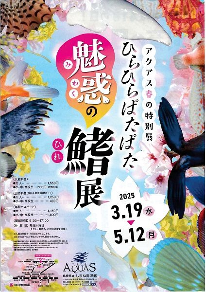 春の特別展「ひらひらぱたぱた魅惑の鰭展」