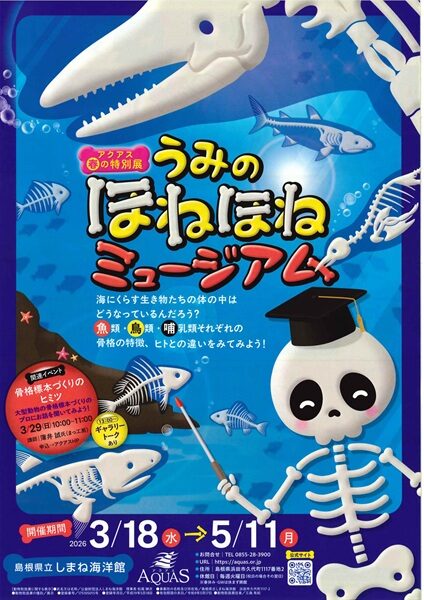 春の特別展「うみのほねほねミュージアム」