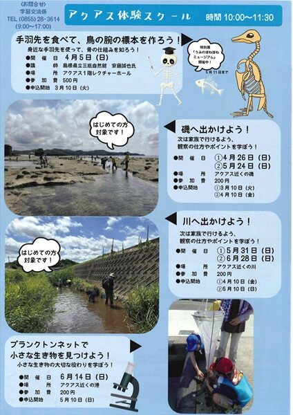【要申込】春・夏 アクアスの体験スクール
